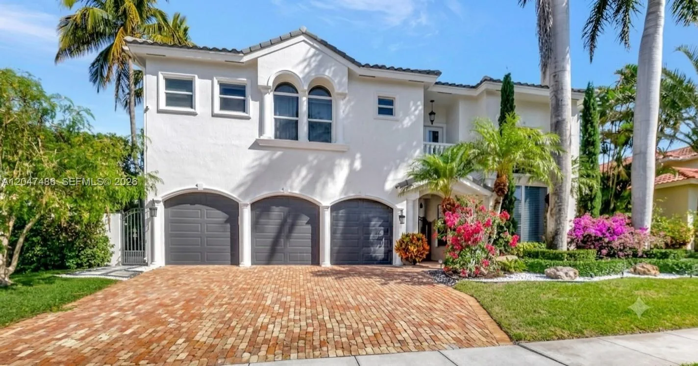 Royal Palm Forest