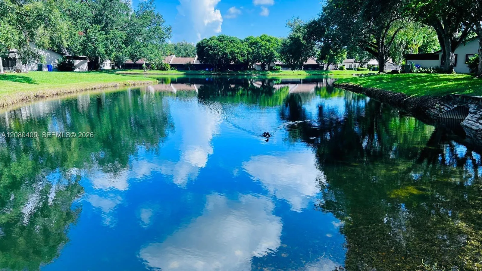Everglades Sugar & Land C