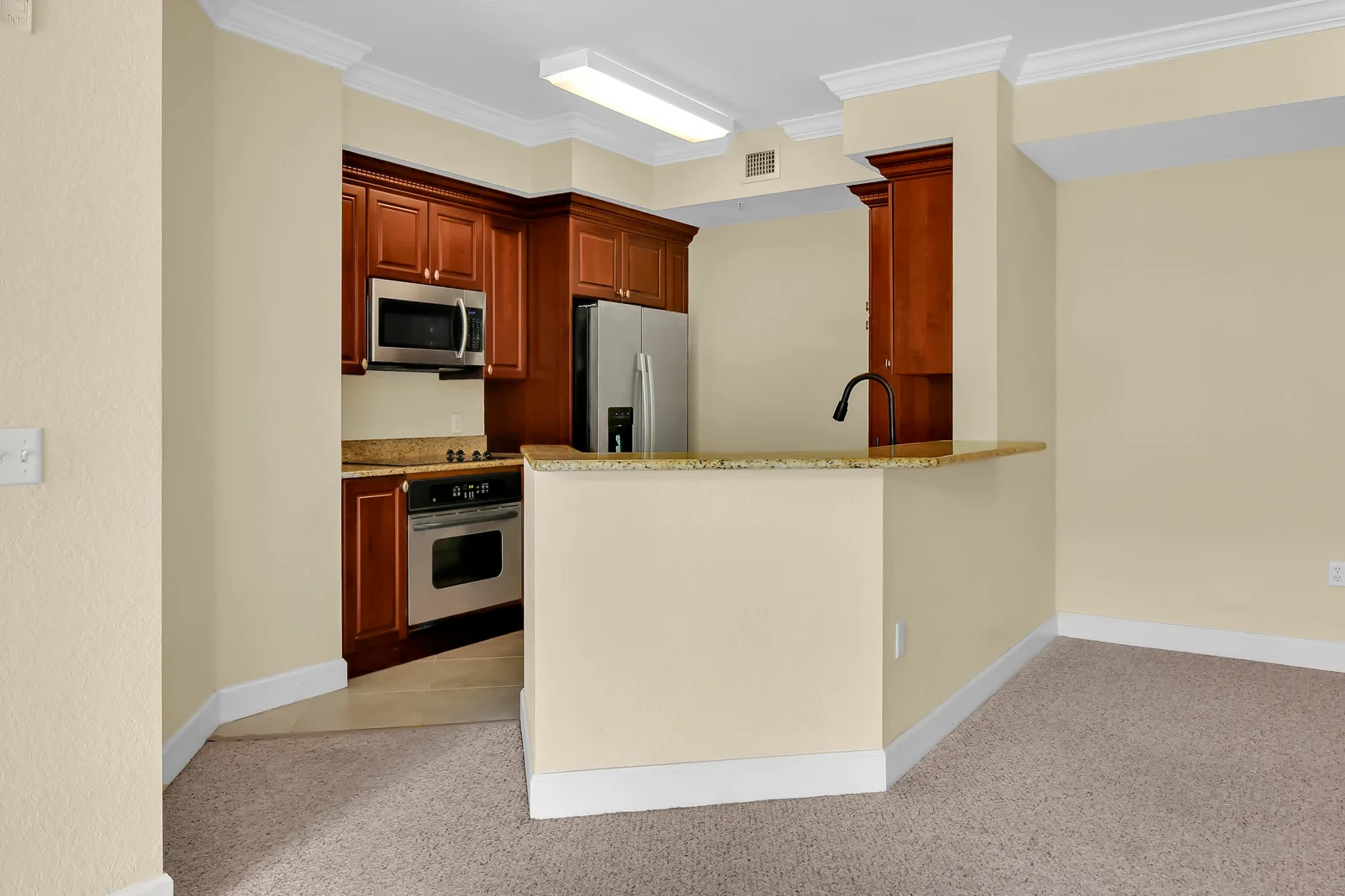 Vizcaya Lakes Condo