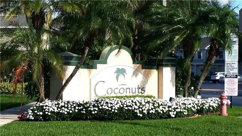 Coconuts At Bonaventure