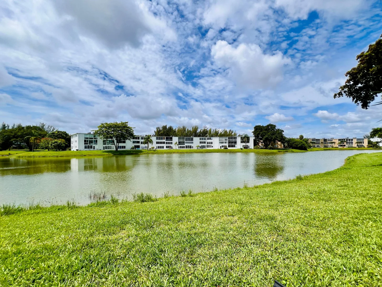 Century Village - Wellington Condos