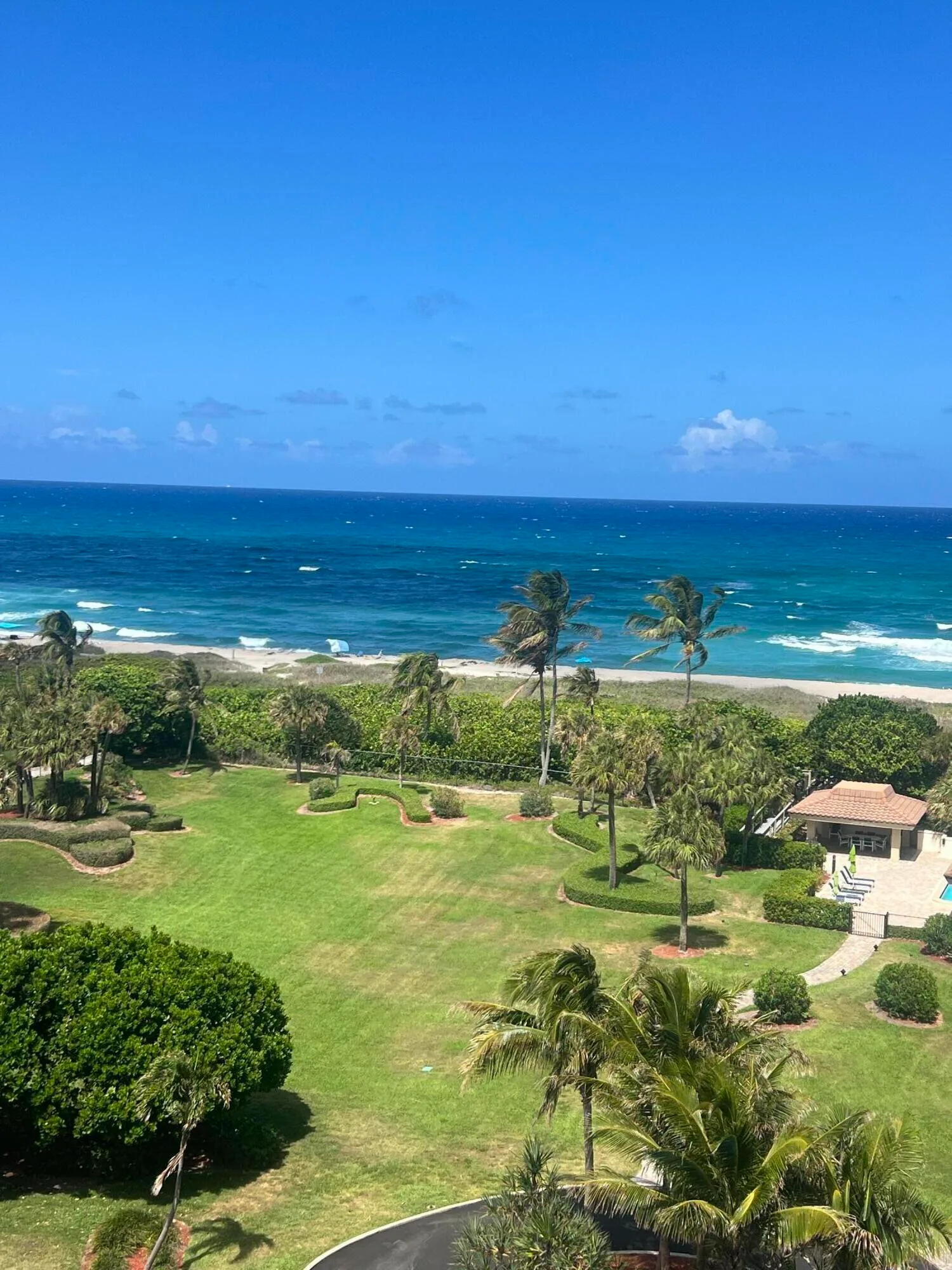 Oceantree Condo