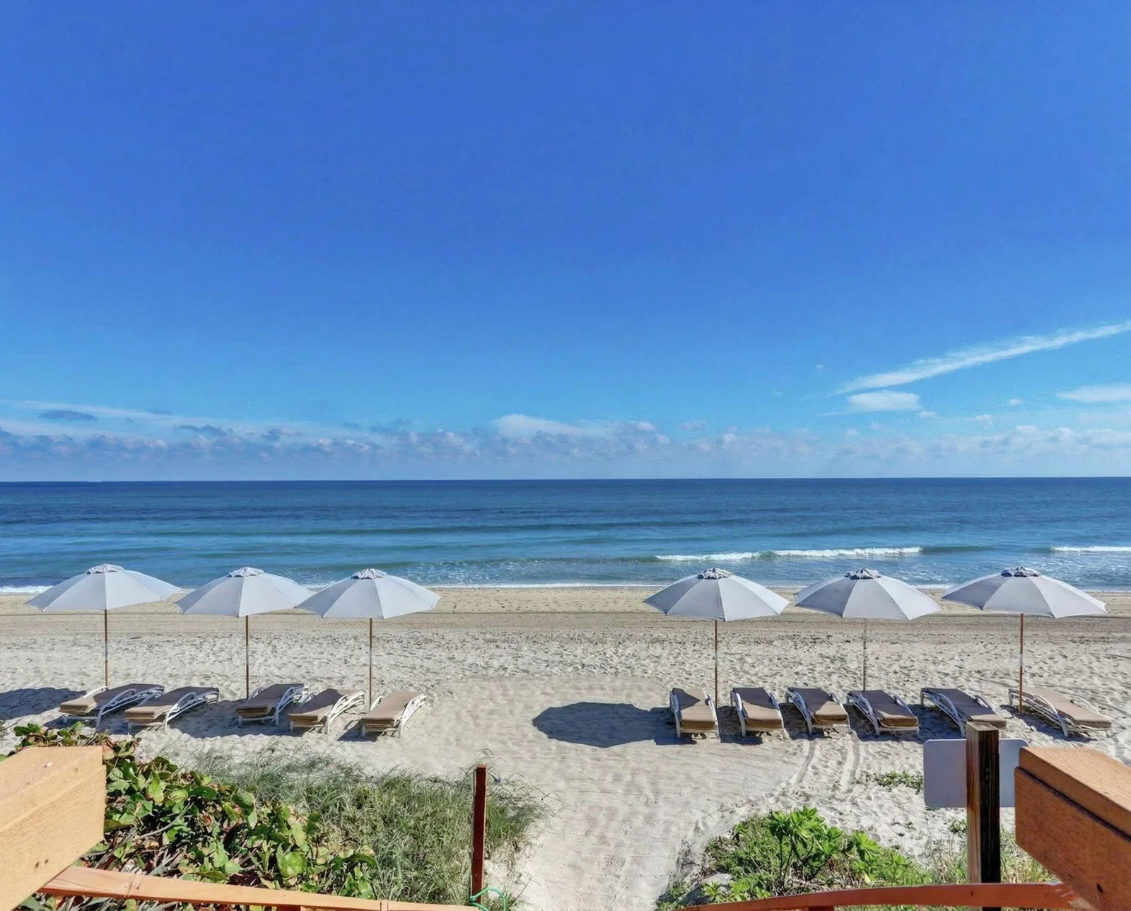 Halcyon Of Palm Beach