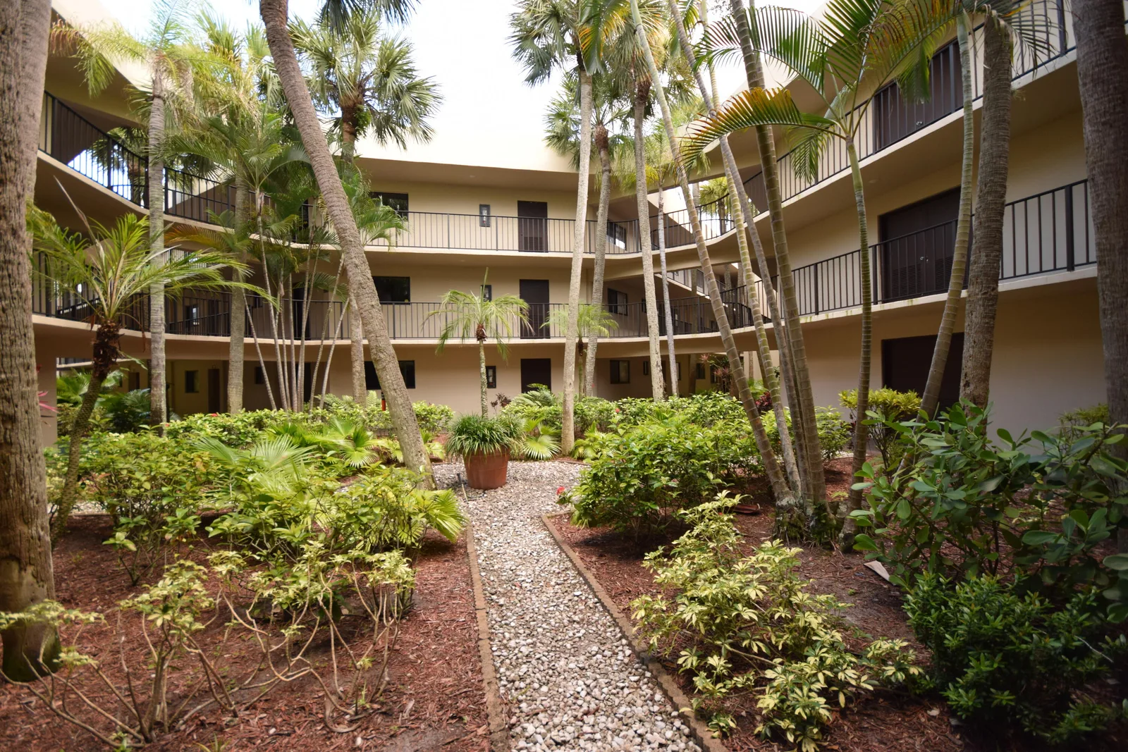 Palmetto Condo