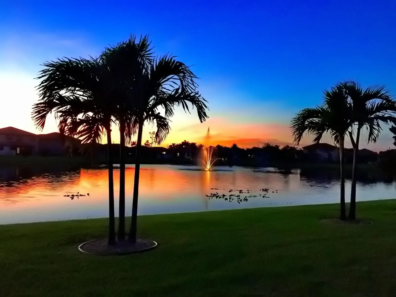 Vista Lago