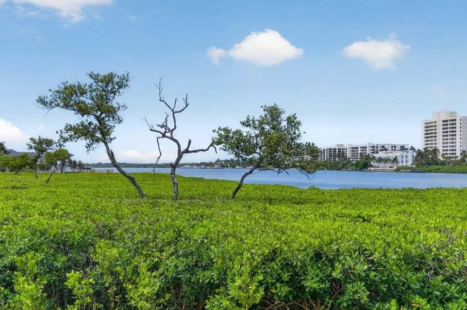 Tequesta Cove Condo