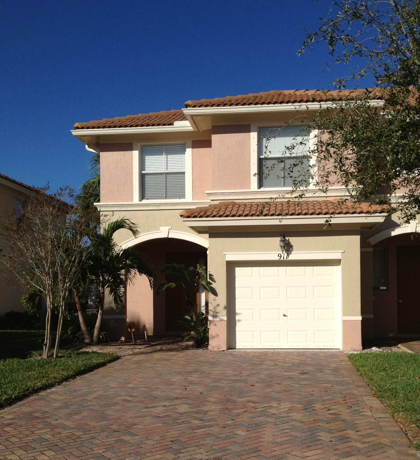 Seminole Palms