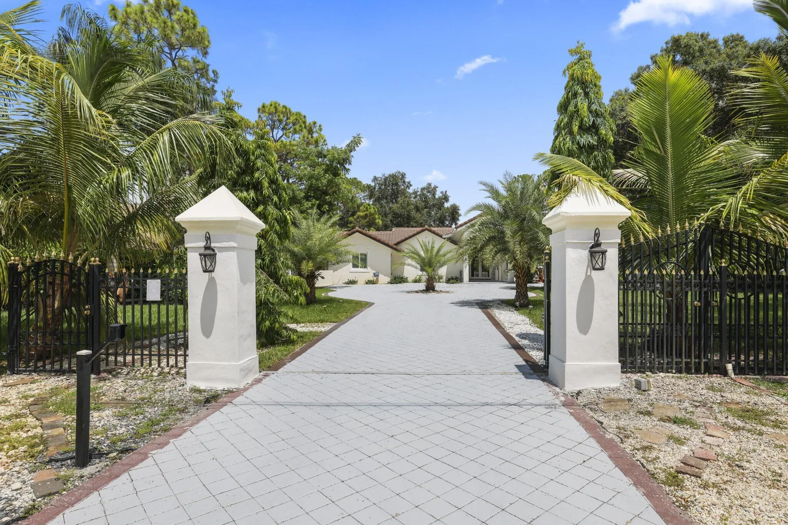 Pine Tree Estates