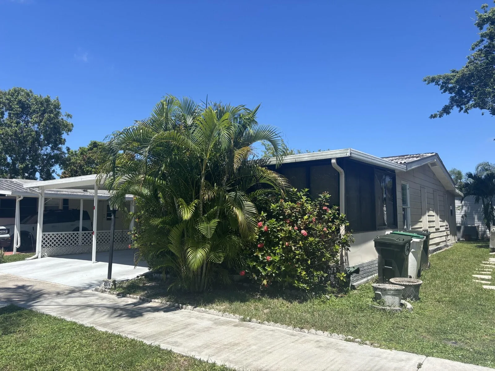 Tallowwood Isle