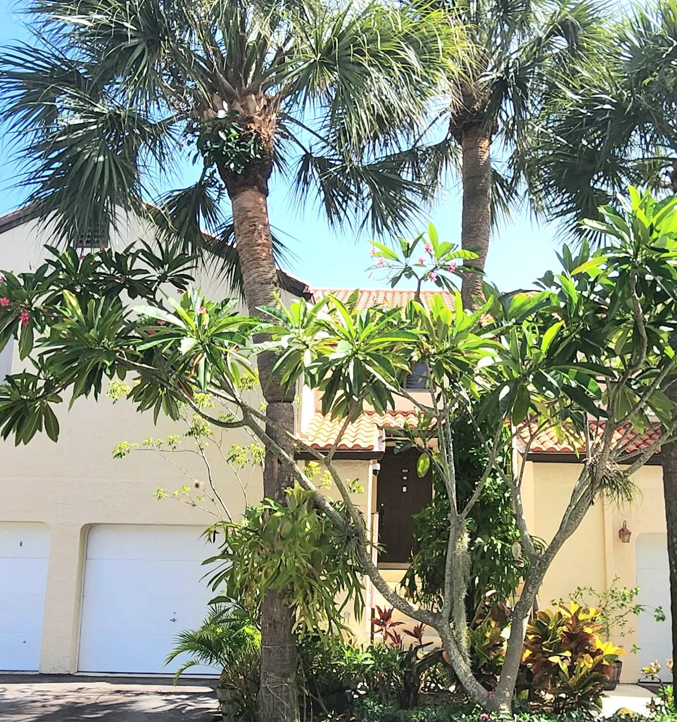 South Lake Condo