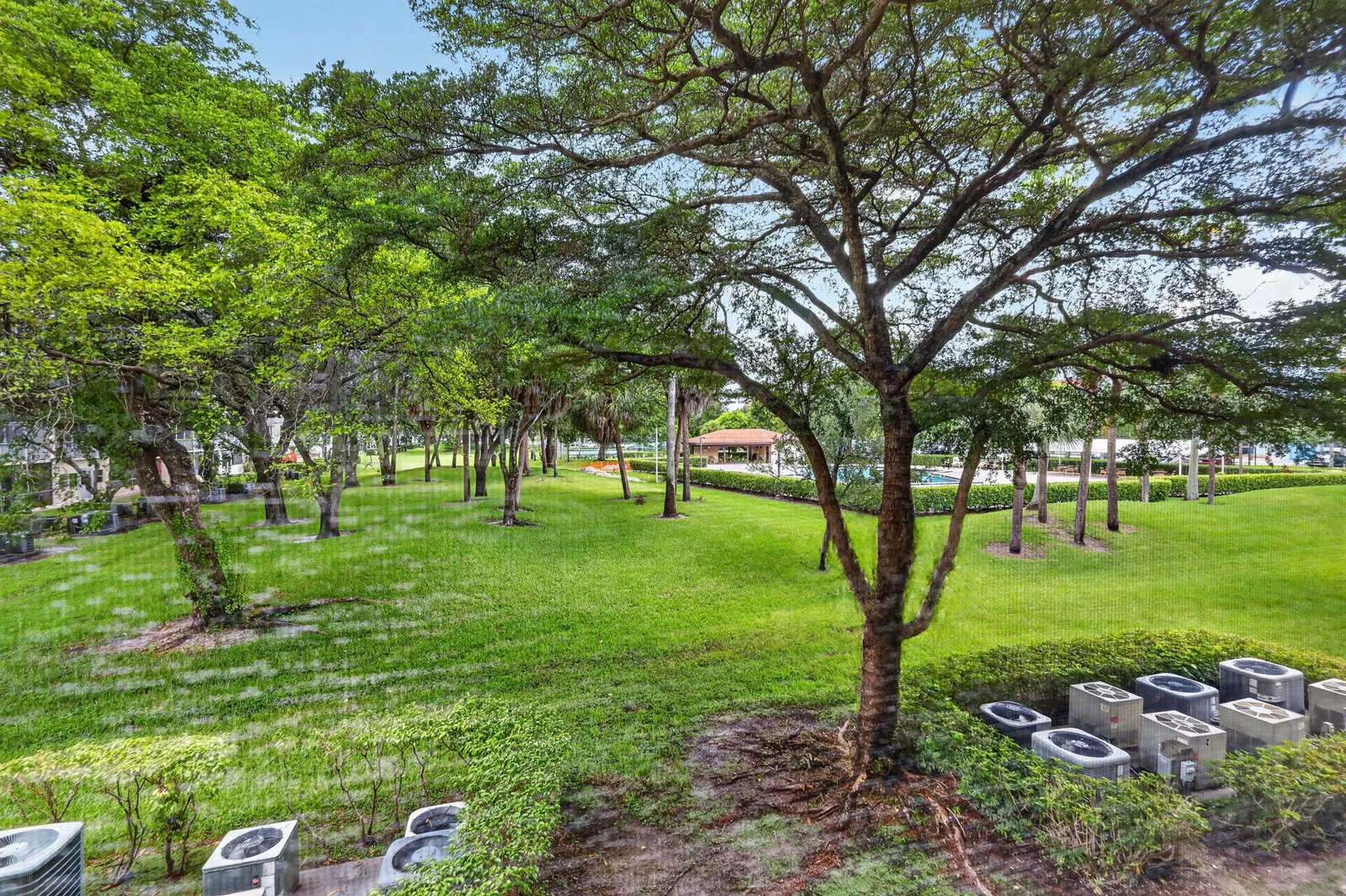 Ivanhoe East At Century Village