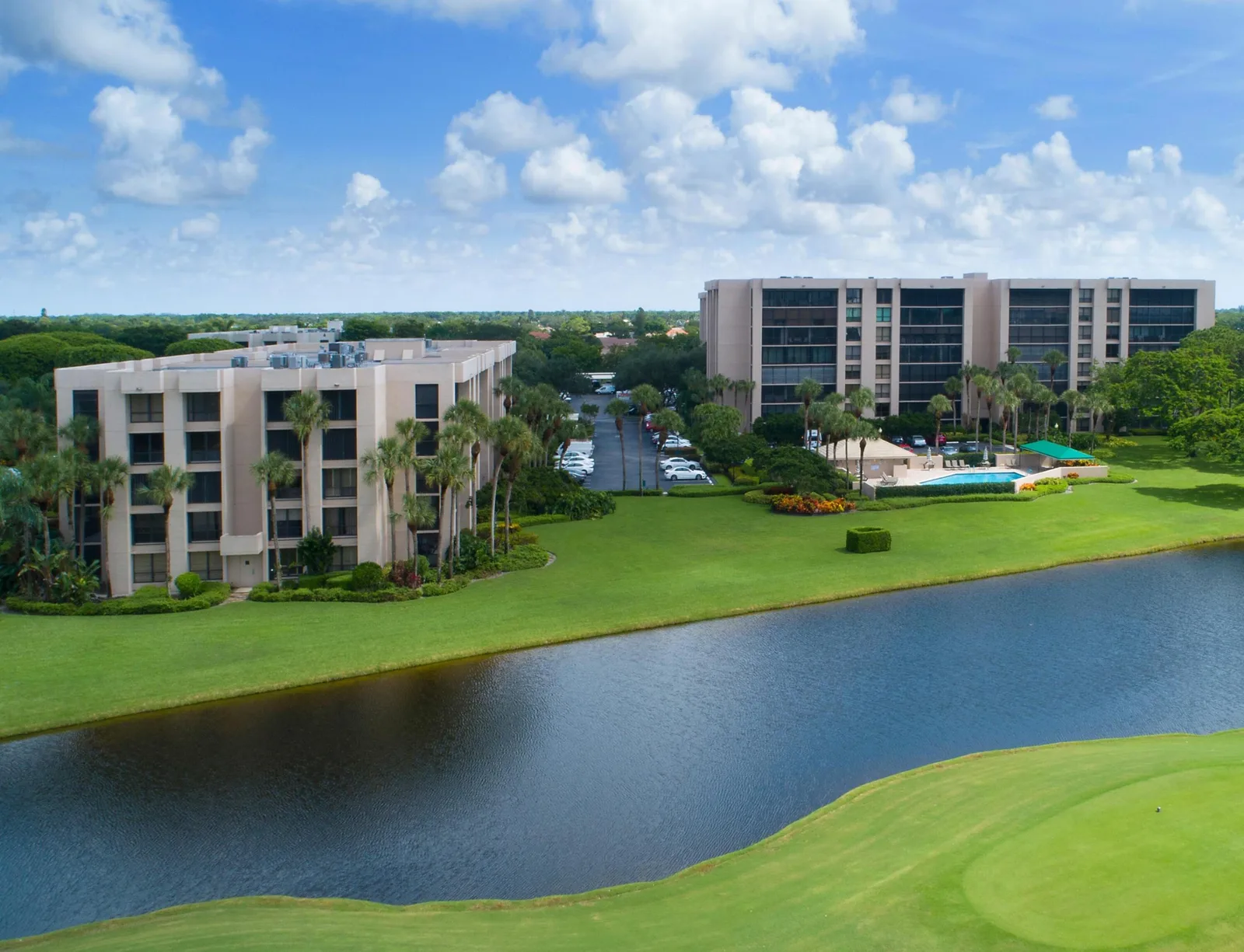 Laurel Oaks