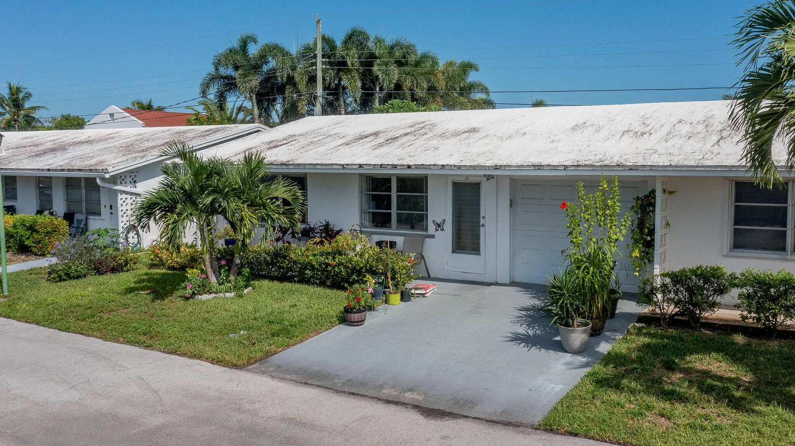 Holly House Inc Condo In