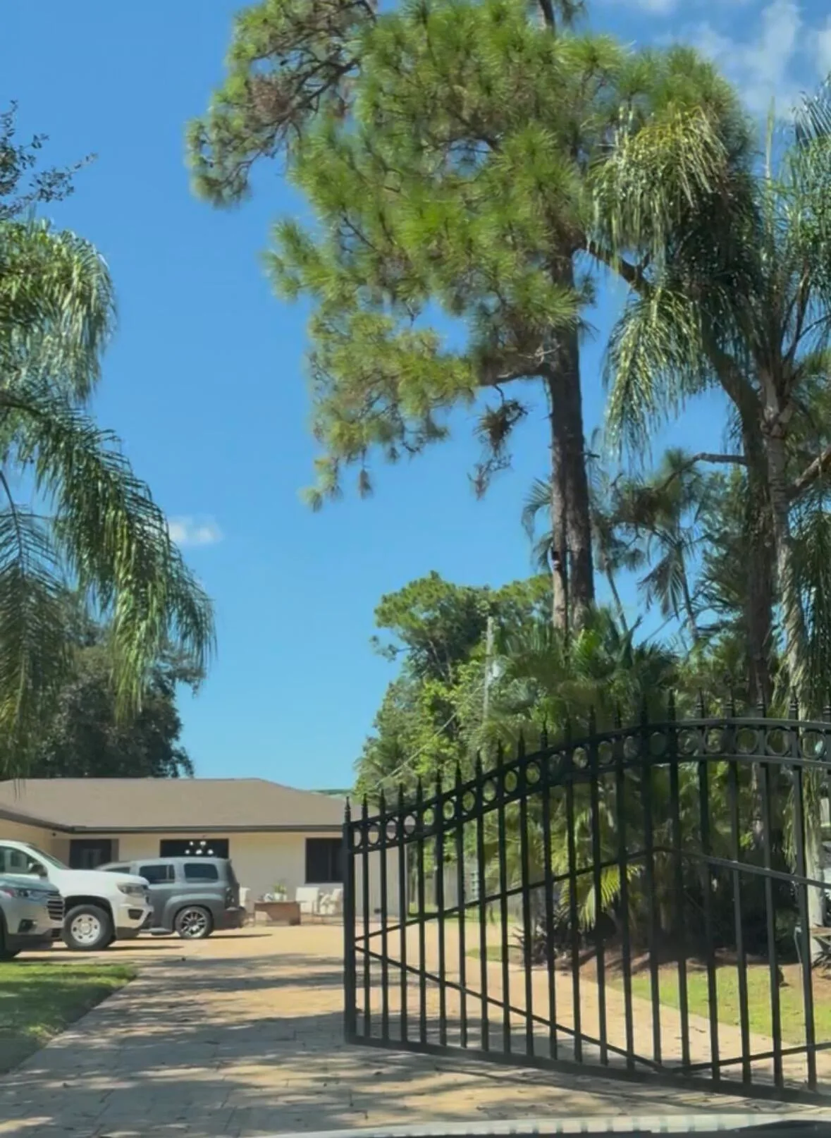 Palm Beach Farms Co