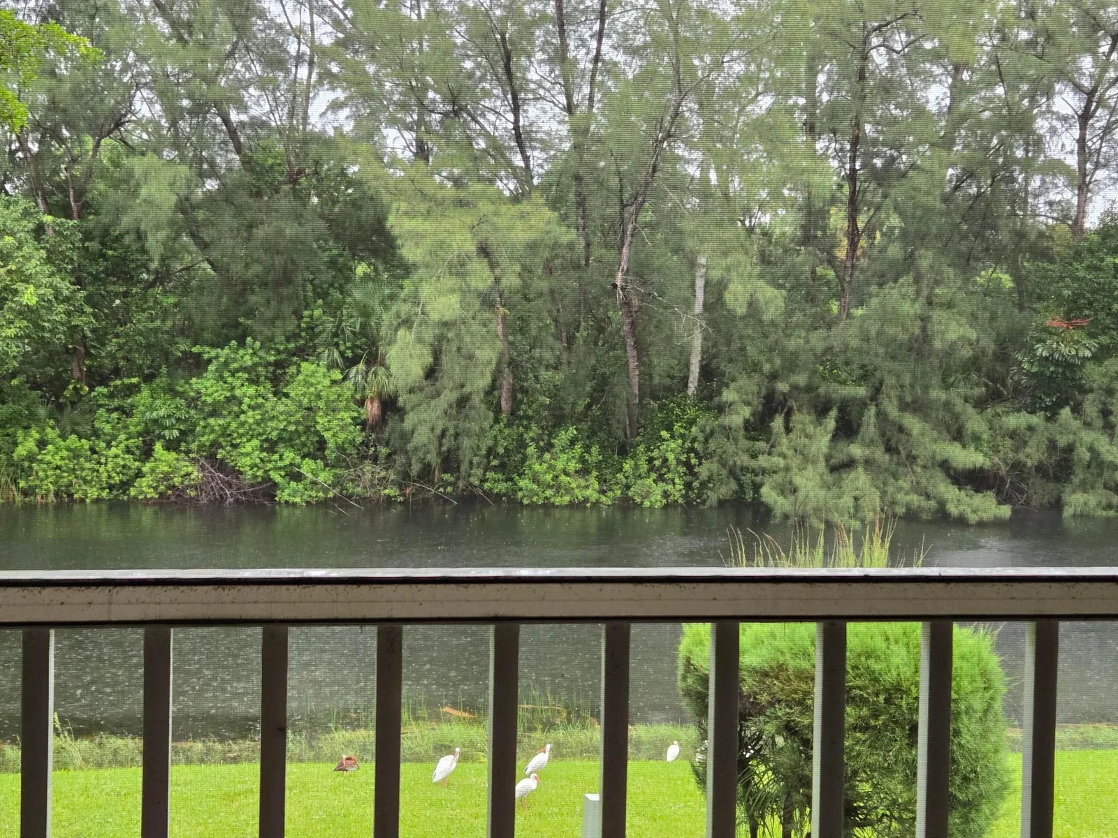 Golden Lakes Village Condo E