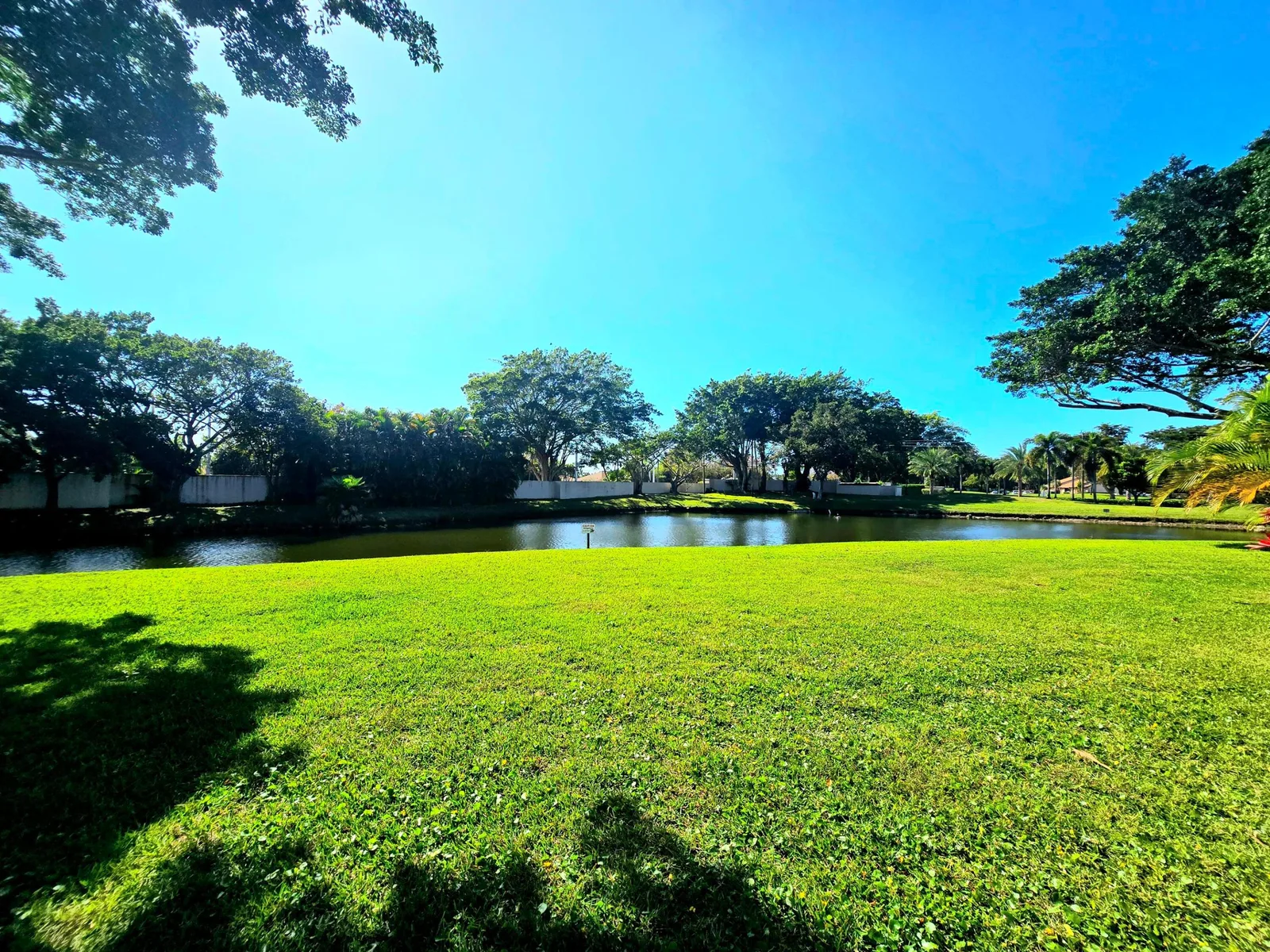Boca Glades