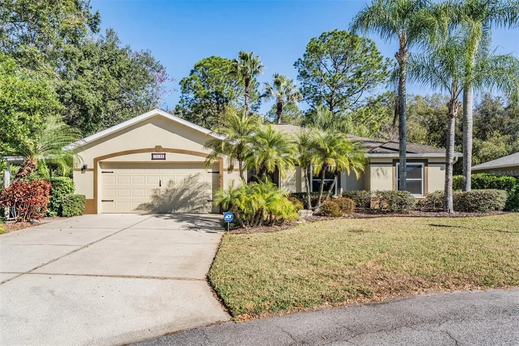 Tampa Bay Golf And Tennis Club