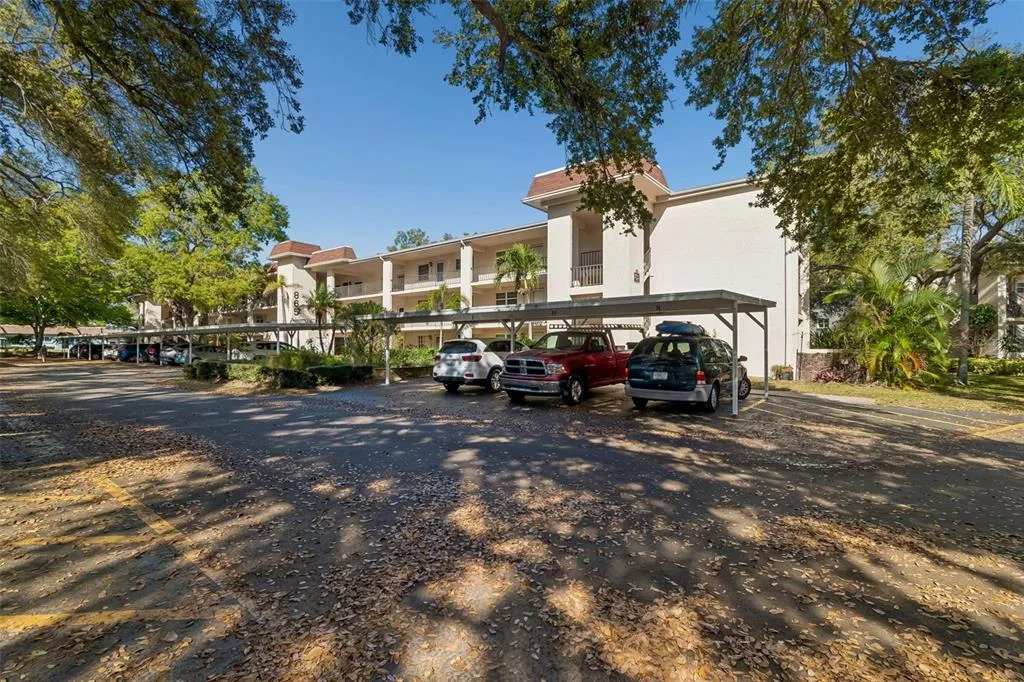Patrician Oaks