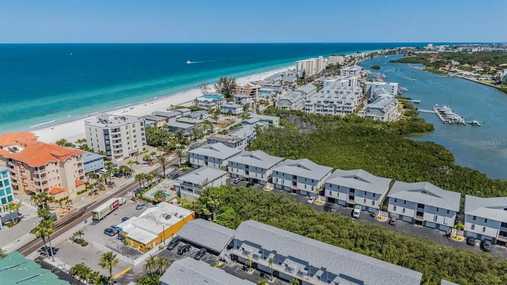 Sea Shell Of Indian Shores