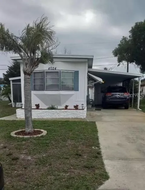 Buena Vista