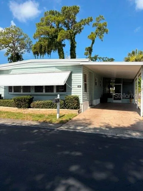 Dunedin Palms