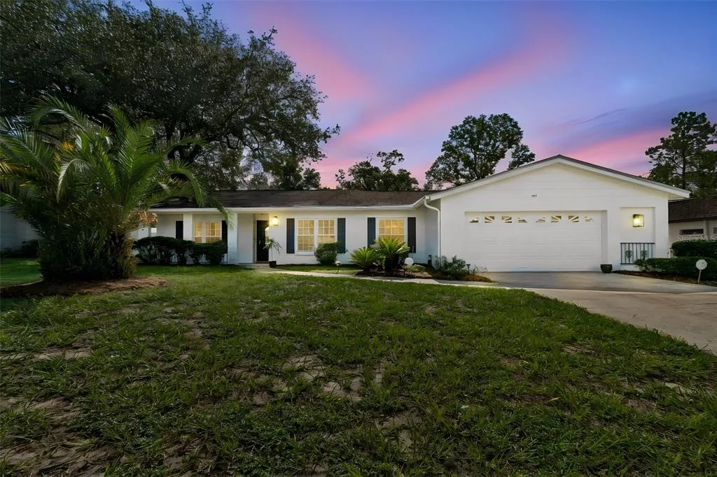 Temple Terrace Hills