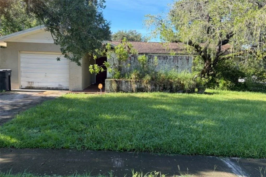 Carrollwood Meadows