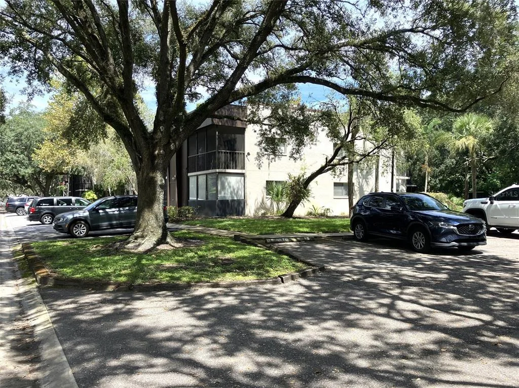 Raintree Village Condo N