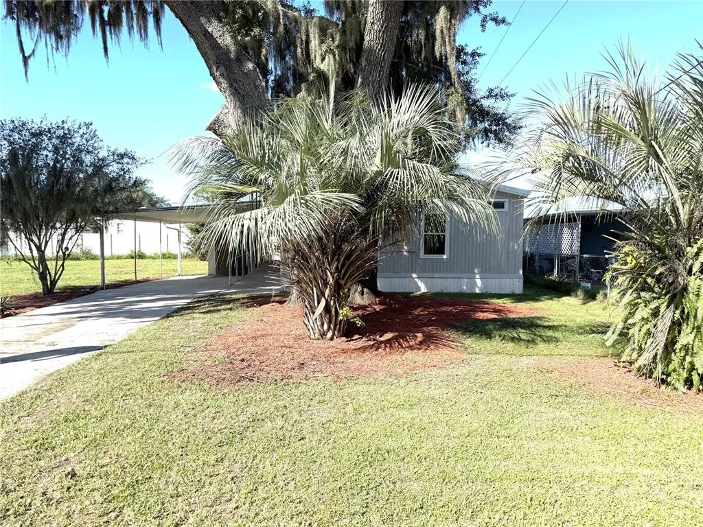 Betmar Acres