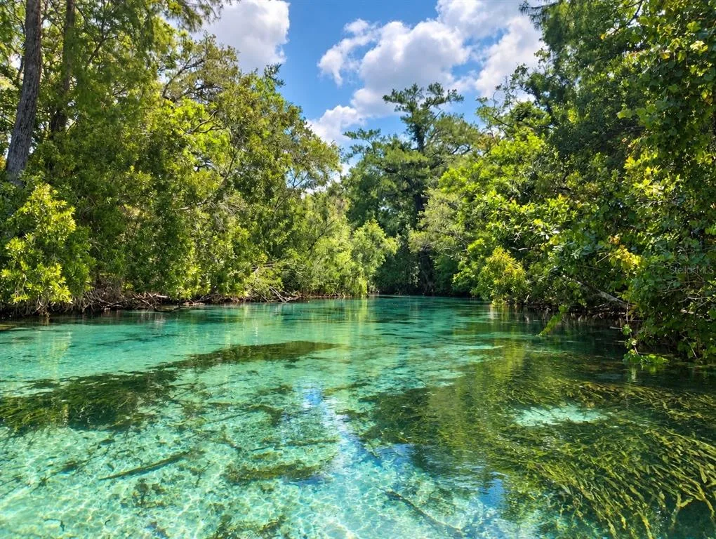 Weeki Wachee Hills